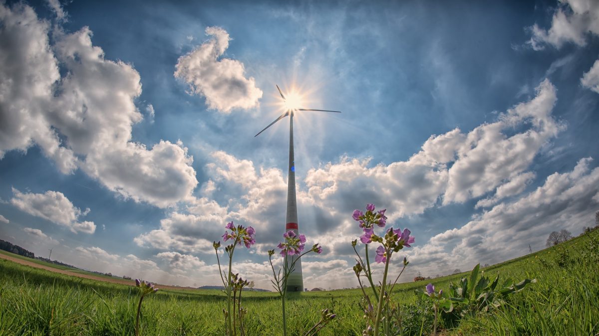 Another Record Breaker – Renewables Provide Over Half of Our Electricity