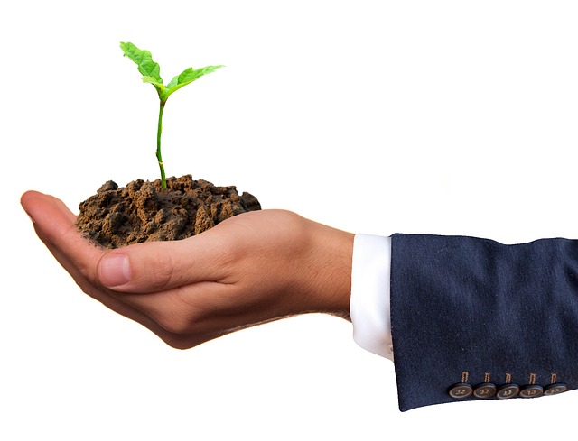 6 Tips to Make Your Business More Green